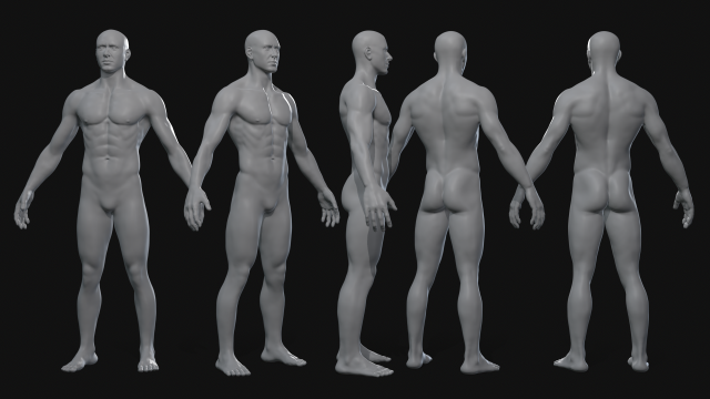 Body Model 3D .c4d .max .obj .3ds .fbx .stl .blend