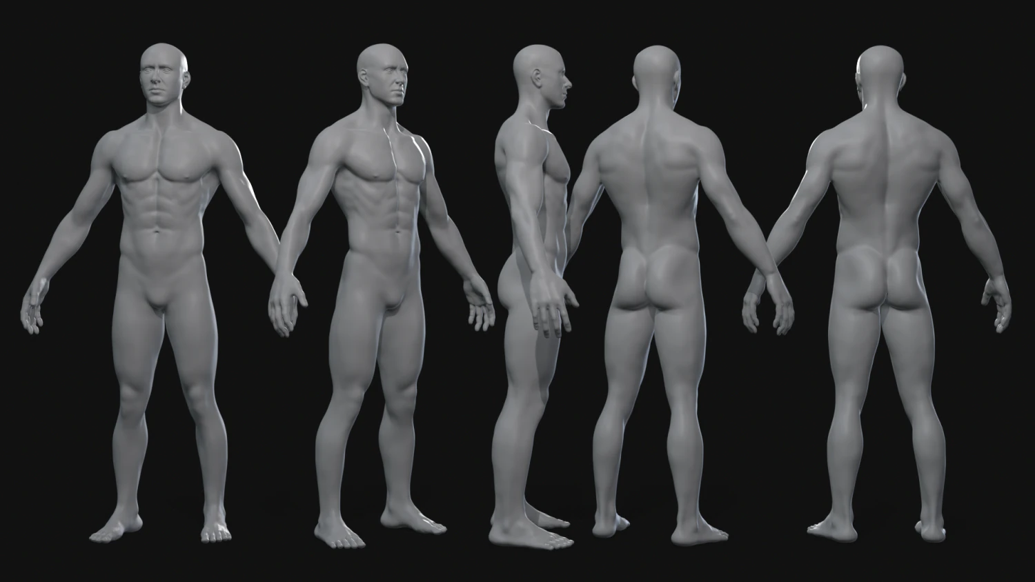 Body 3D Model .c4d .max .obj .3ds .fbx .stl .blend 