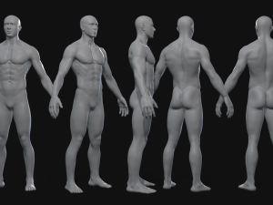 Body 3D-Modell