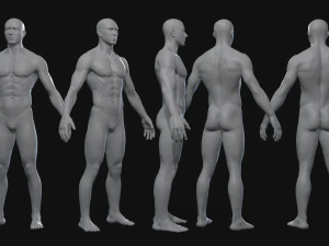 Corpo Modelo 3D