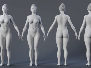 Тело Женское 1 2 3D Модель