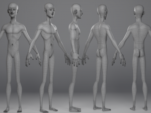 Basemesh Character 3D Model