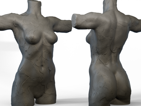 Torso Female Modelo 3D