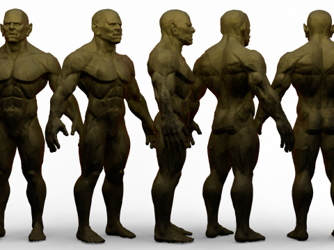 Stylized Orc Basemesh 3Dモデル