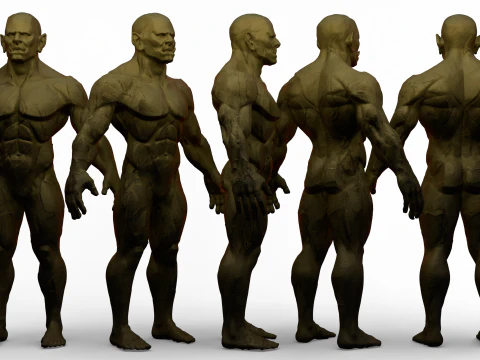 Basemesh stilizzato dell'Orco Modello 3D