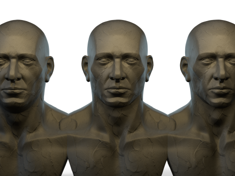 Male Ecorshe Head 3D Model