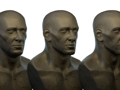 Male Ecorshe Head 3D Model