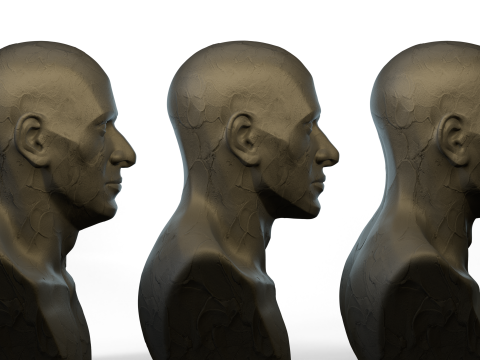 Male Ecorshe Head 3D Model