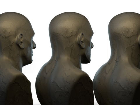 Male Ecorshe Head 3D Model