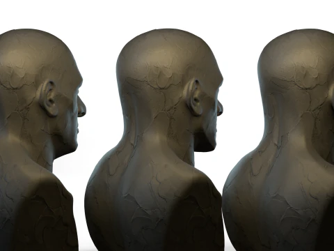 Male Ecorshe Head 3D Model