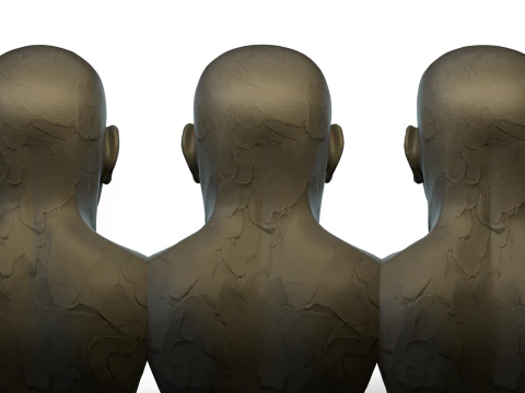 Male Ecorshe Head 3D Model