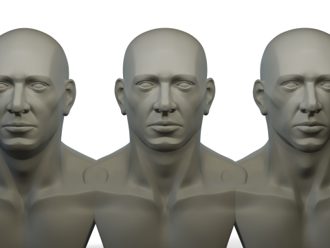 Male Ecorshe Head 3D Model