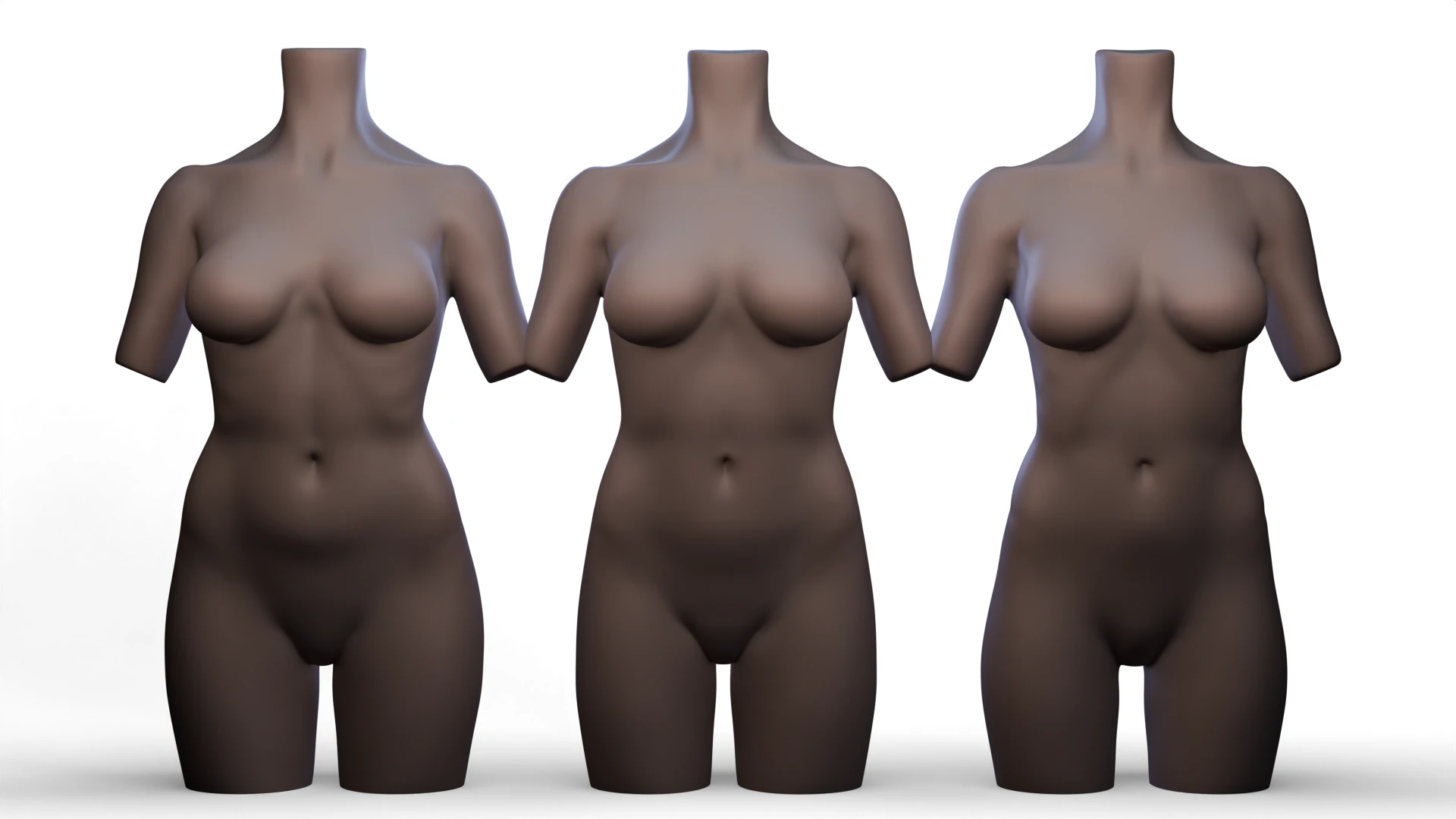 Torso 3D Model .c4d .max .obj .3ds .fbx .stl .blend 