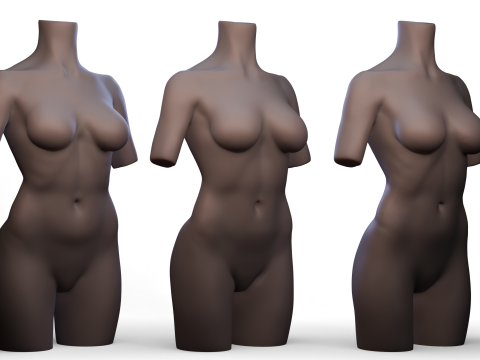 Torso 3D Модель