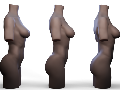 Torso 3D Модель