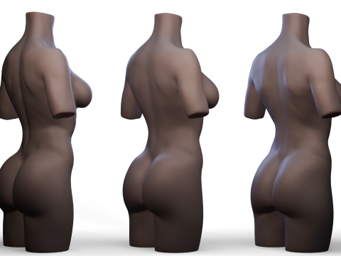 Torso 3D Модель