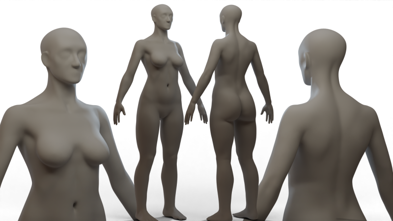 Basemesh Body 3D Model .c4d .max .obj .3ds .fbx .stl .blend 