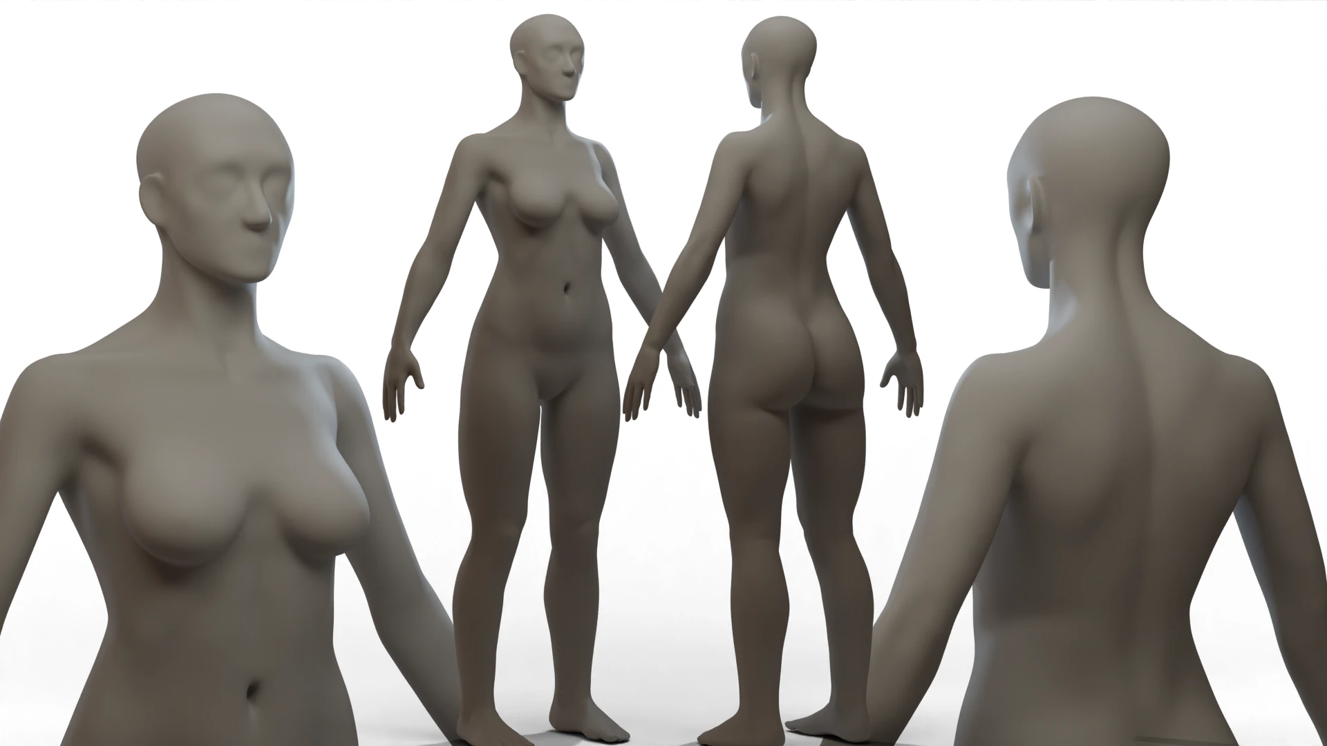 Basemesh Body 3D Model .c4d .max .obj .3ds .fbx .stl .blend 