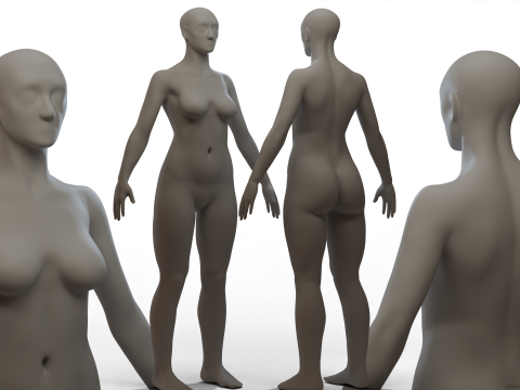 Basemesh Body 3D मॉडल