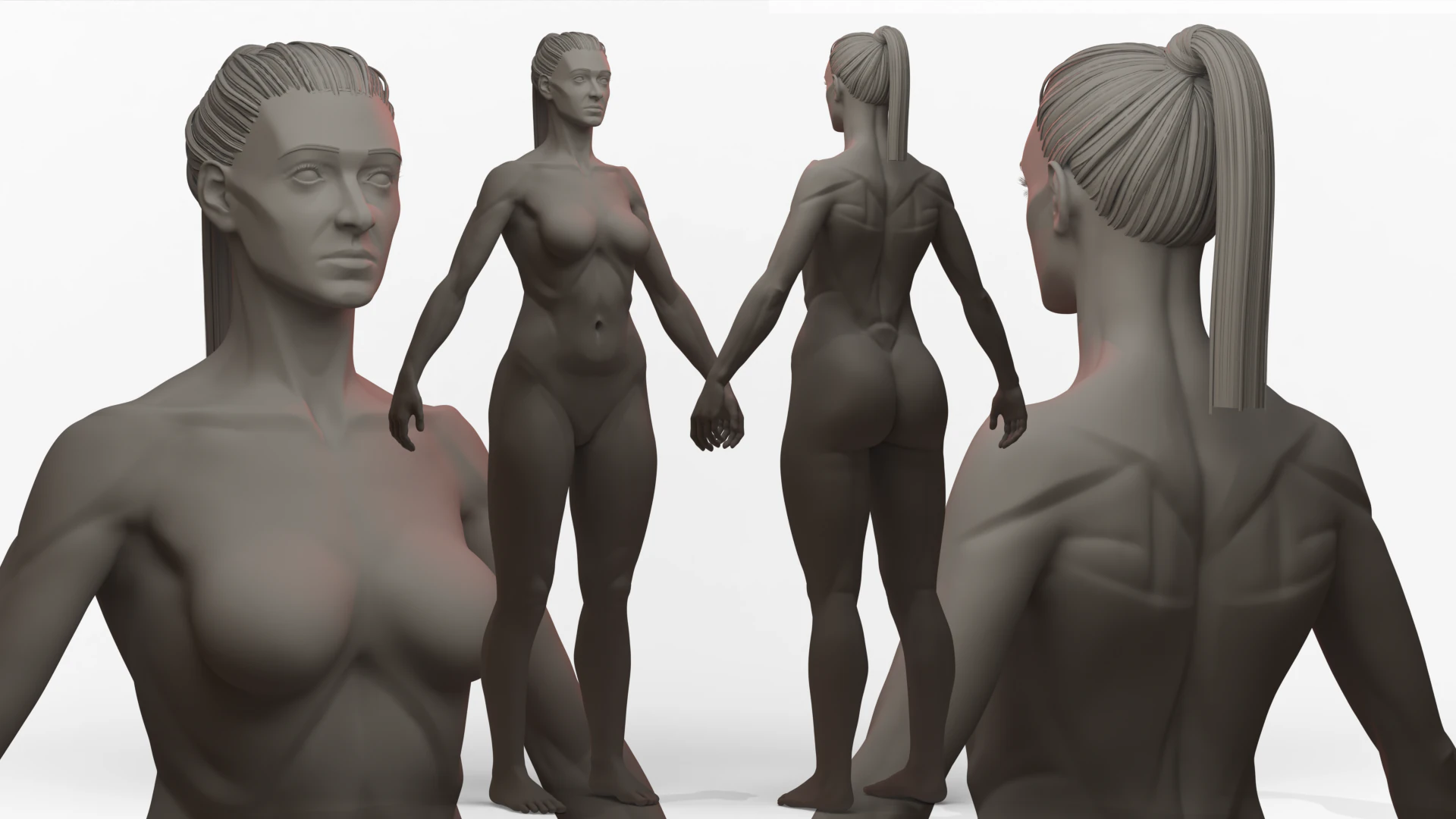 Female Ecorche Basemesh 3D Model .c4d .max .obj .3ds .fbx .stl .blend