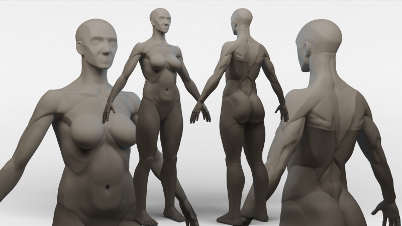 Ecorche Female Model 3D .c4d .max .obj .3ds .fbx .stl .blend 