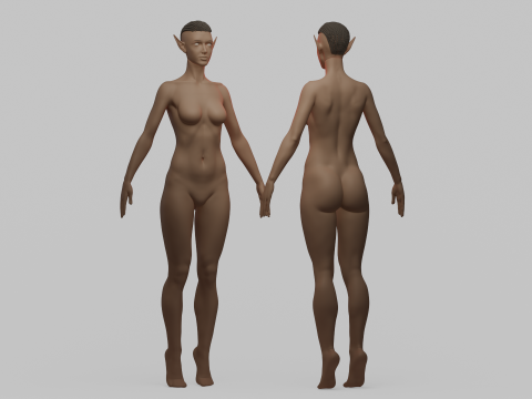 Basemesh femminile elfo Modello 3D