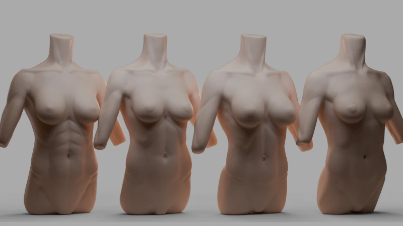 torso femenino Modelo 3D .c4d .max .obj .3ds .fbx .stl .blend
