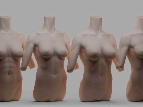 Female Torso 3D Modell