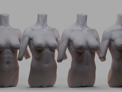 Female Torso 3Dモデル
