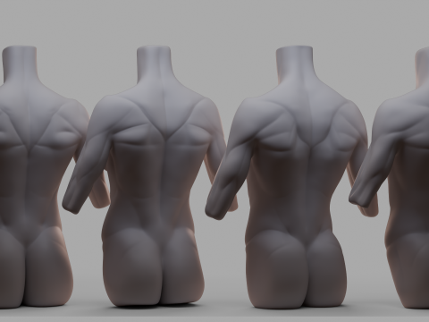 Female Torso 3Dモデル