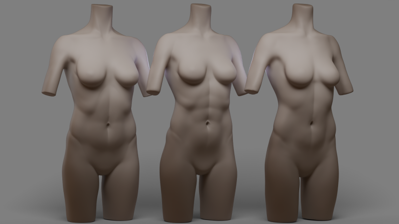Female Torso 2 3Dモデル .c4d .max .obj .3ds .fbx .stl .blend