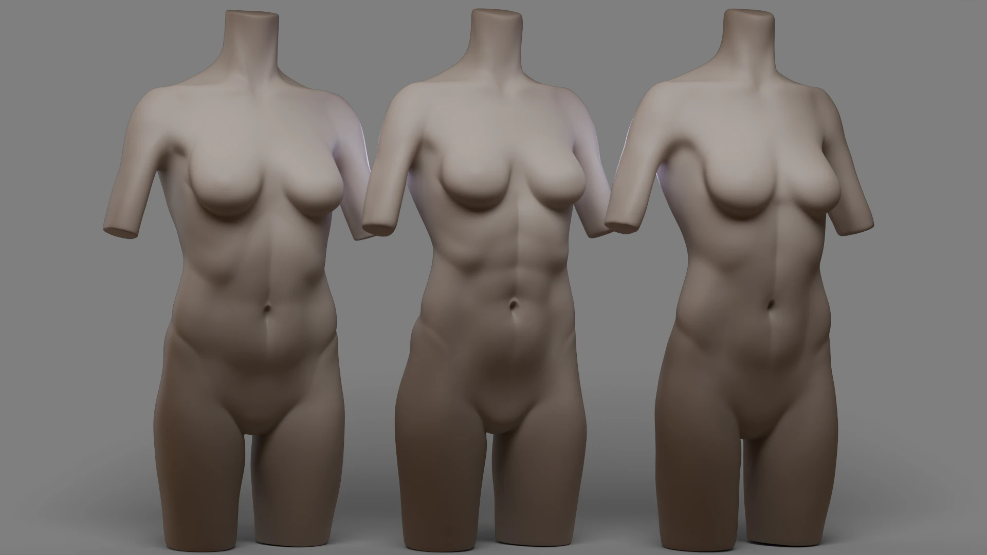 Female Torso 2 3D Model .c4d .max .obj .3ds .fbx .stl .blend 