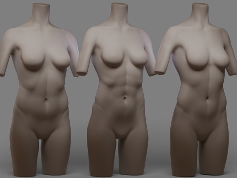 Female Torso 2 3D Model