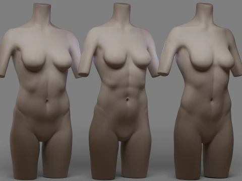 Женский торс 2 3D Модель