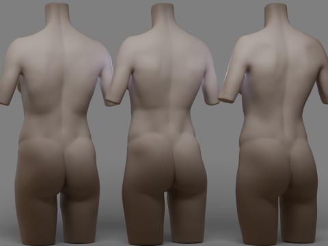 Female Torso 2 3Dモデル