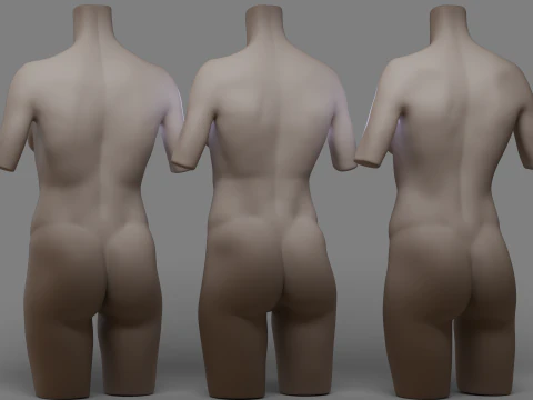 Female Torso 2 3D Model