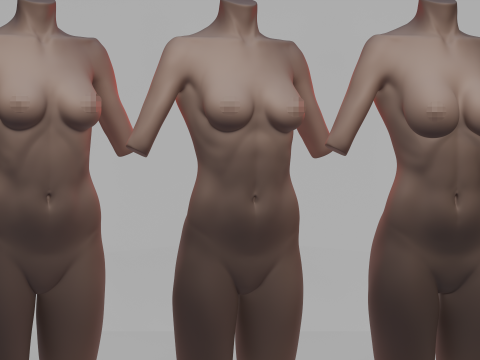Torso 3Dモデル
