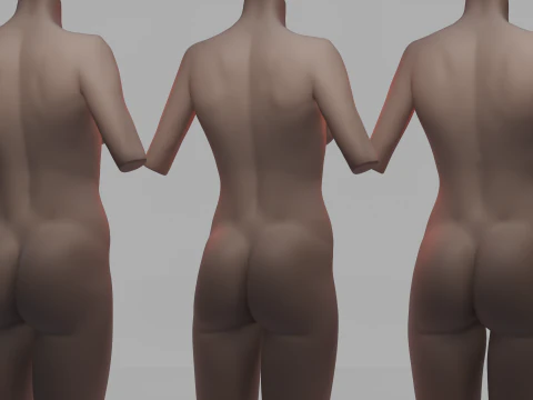 Torso 3D Model