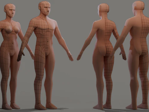Lowpoly basemesh 3D Model