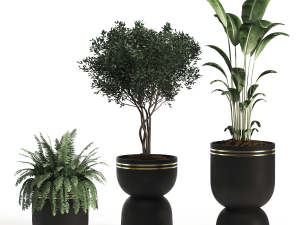 Indoor -01 3D Model