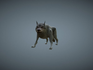 wolf low poly 3D Model
