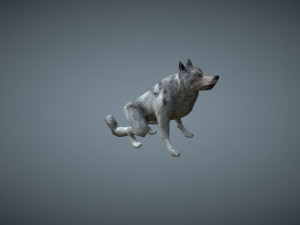 wolf low poly Modèle 3D