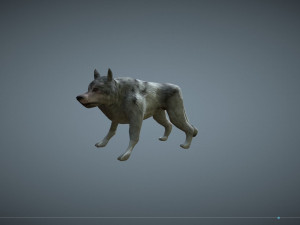wolf low poly Modèle 3D