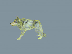 wolf low poly Modèle 3D