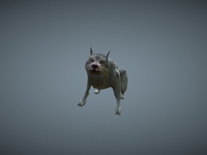 wolf low poly Modèle 3D