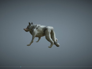 wolf low poly Modèle 3D