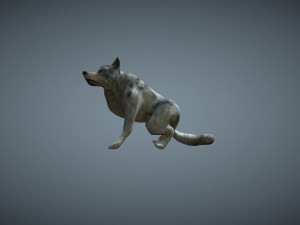 wolf low poly Modèle 3D