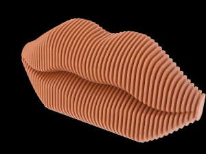 dise&ntilde;o param&eacute;trico de labios Modelo 3D
