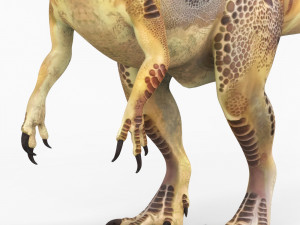 trex dinosaur Model 3D
