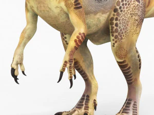 trex dinosaur 3D Model